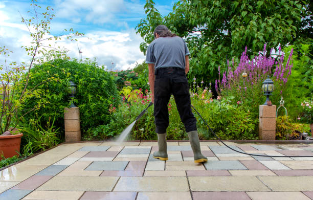 Best Driveway Pressure Washing  in Goshen, AR
